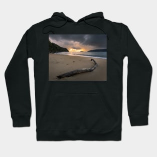 Driftwood Hoodie